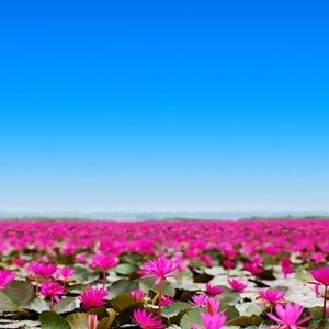 Meet your Posher, Jennifer lynn